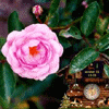ClockWallpaper - cool clock and wallpaper for your Desktop. When started, ClockWallpaper becomes your Desktop, you always can see current time, and if necessary alarm system will prevent you from forgetting time.