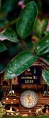 ClockWallpaper - cool clock and wallpaper for your Desktop